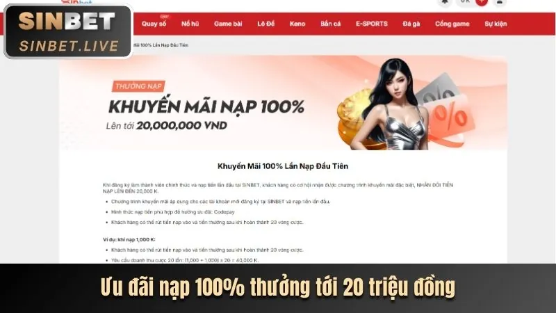 Quy tắc chung về đặt cược